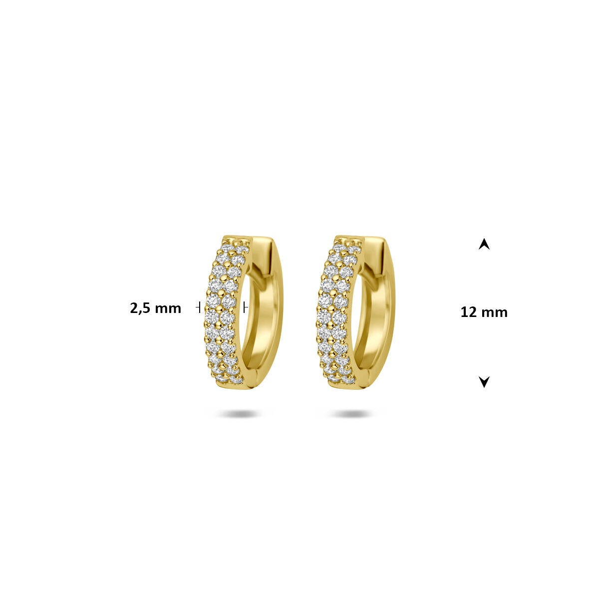 14k Geelgouden klapoorringen met zirkonia