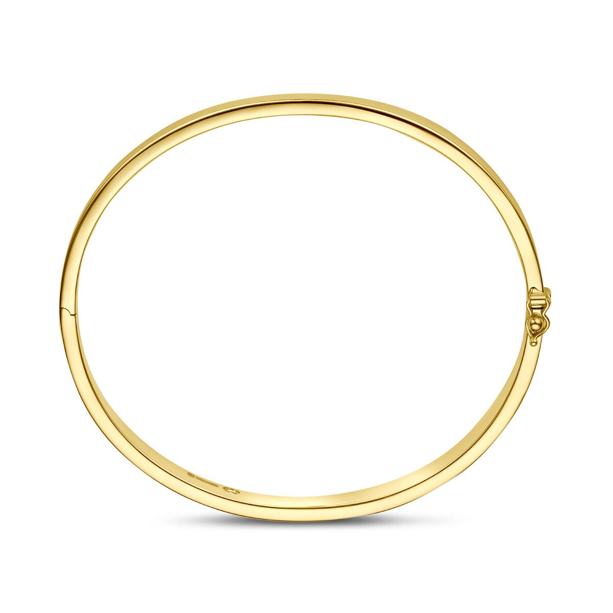 14k Geelgouden Silgold Bangle 6 mm Dames