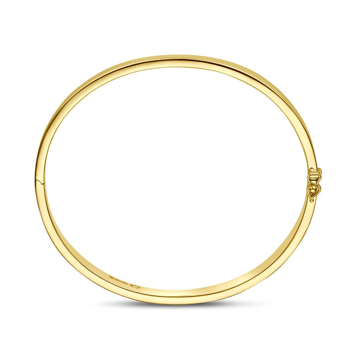 14k Geelgouden Silgold Bangle 6 mm Dames