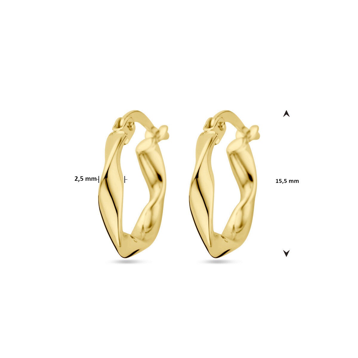 9k Geelgouden Gedraaide Oorringen 2,5 mm Dames