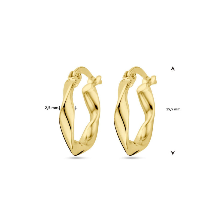 9k Geelgouden Gedraaide Oorringen 2,5 mm Dames