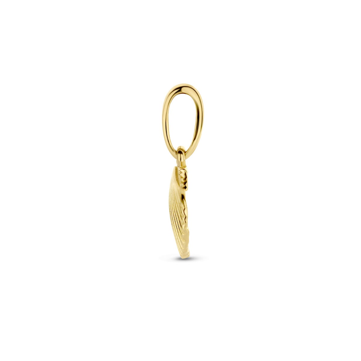 9k geelgouden hanger schelp