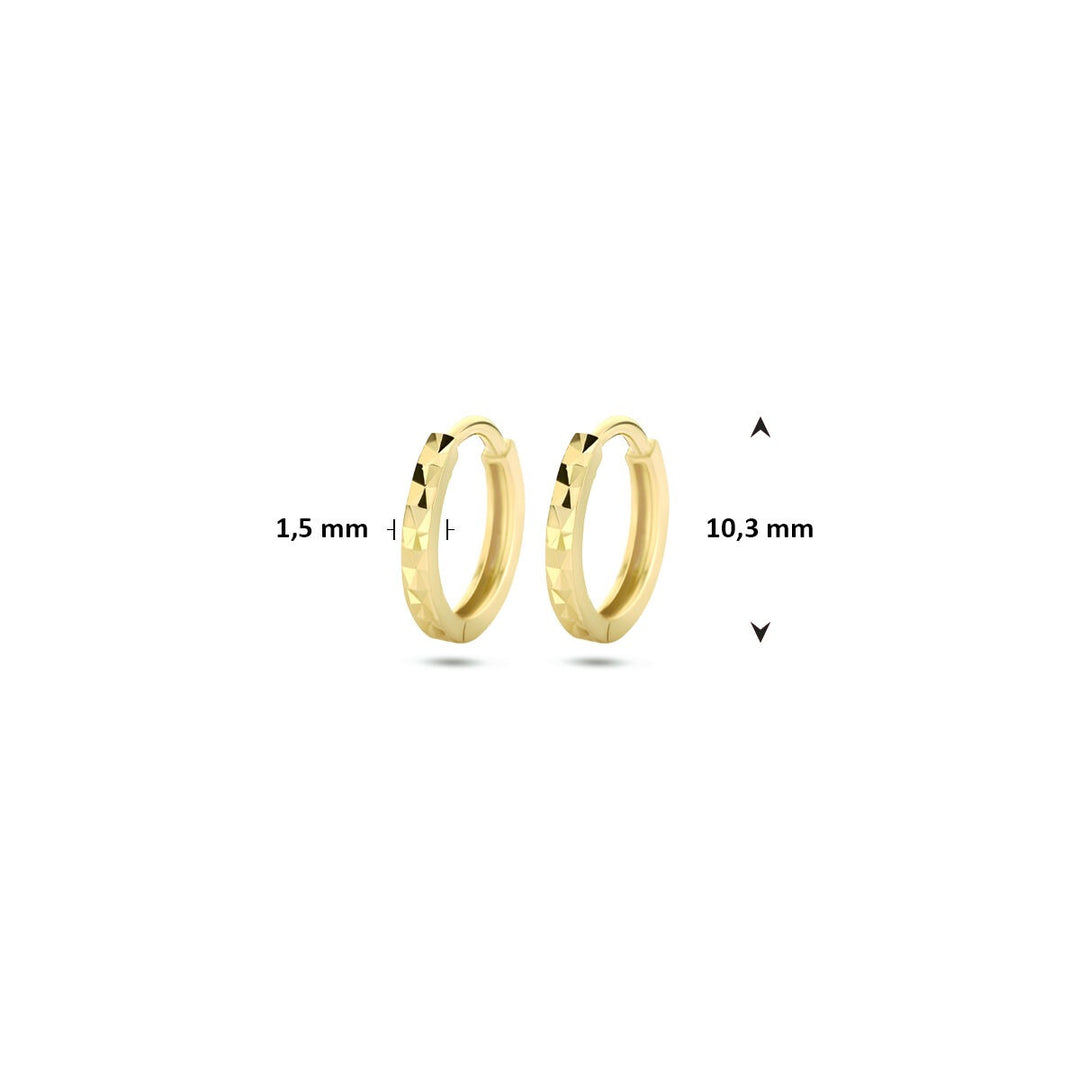 9k Geelgouden Klapoorringen 10.3 mm