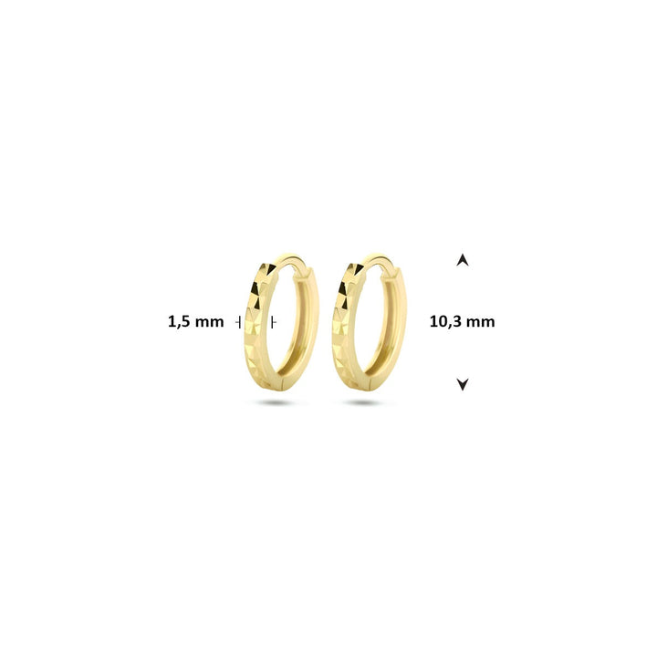 9k Geelgouden Klapoorringen 10.3 mm
