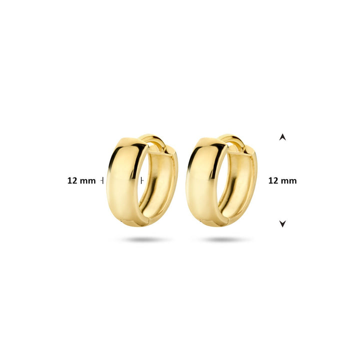 9k Geelgouden Klapoorringen 12 x 3.2 mm