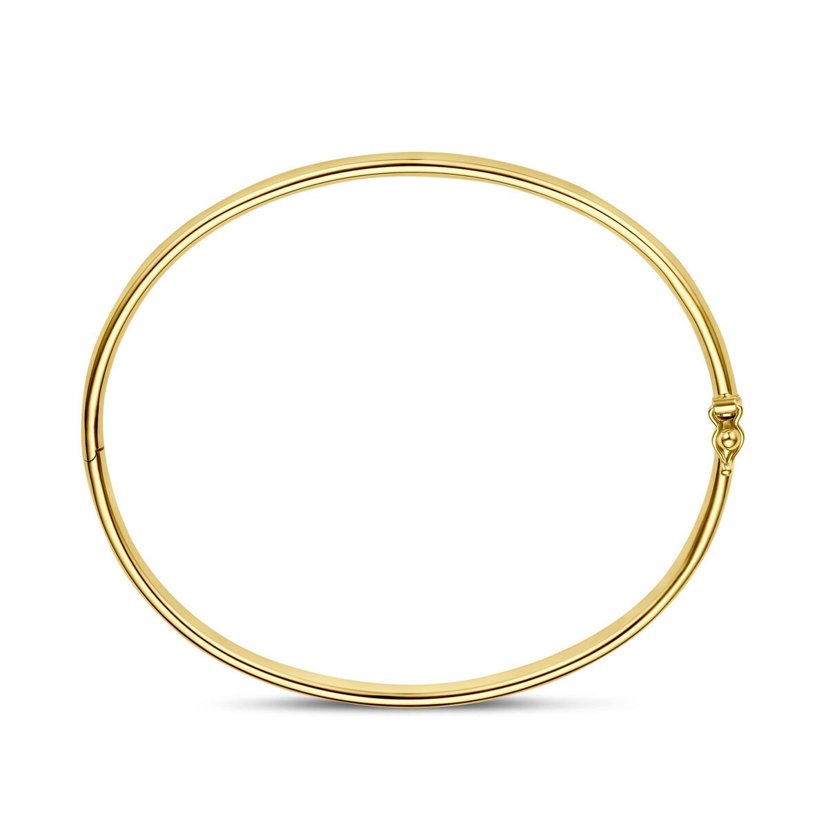 14k Geelgouden Silgold Bangle 4 mm Dames