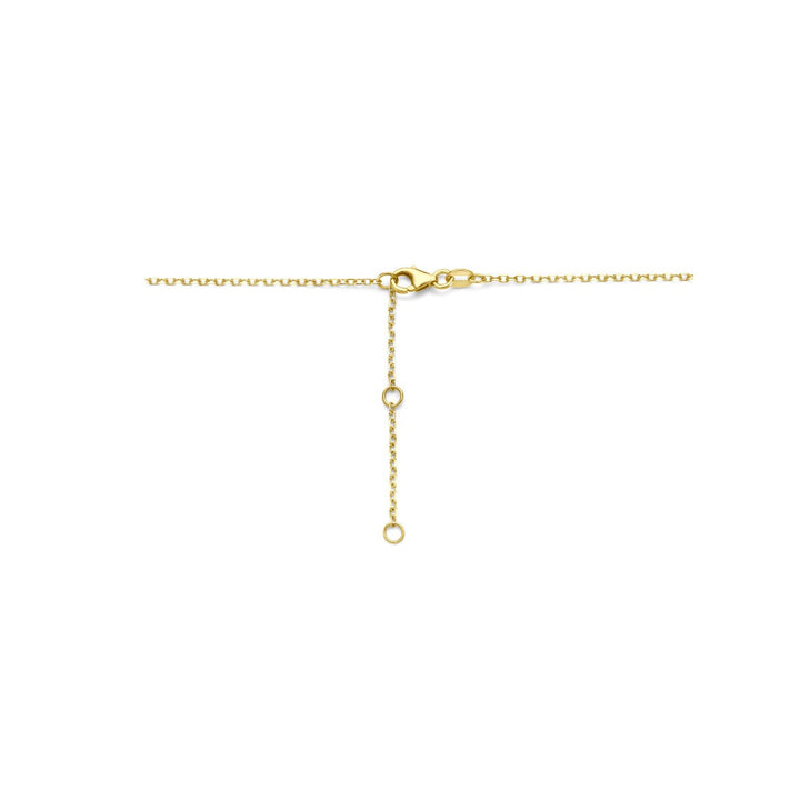 14k Geelgouden koffieboon ketting