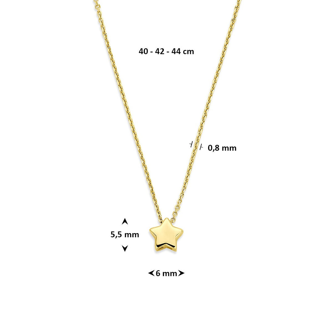 14k Geelgouden ketting met ster