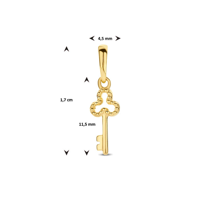 9k Gele Hanger Sleutel