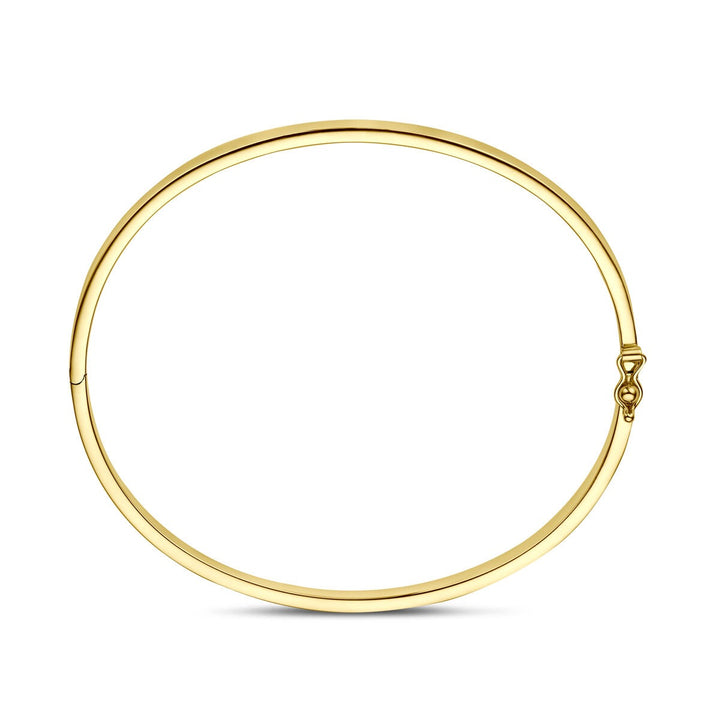 9k Geelgouden bangle armband met zilveren kern