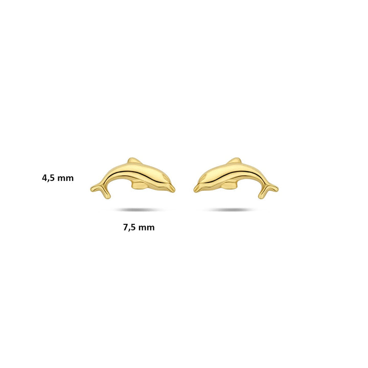 9k Geelgouden oorknopjes dolfijn