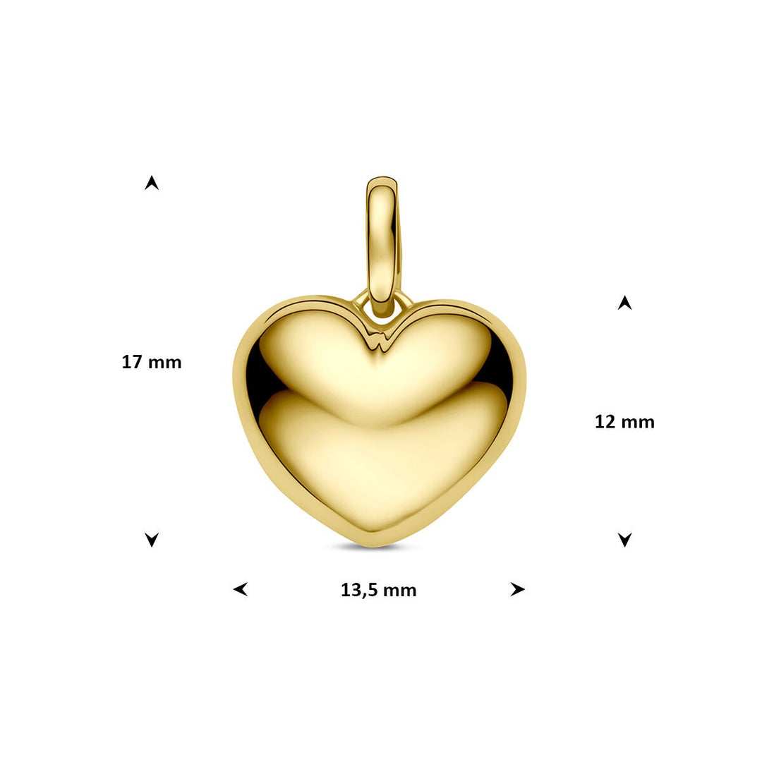 9k Geelgouden hart hanger