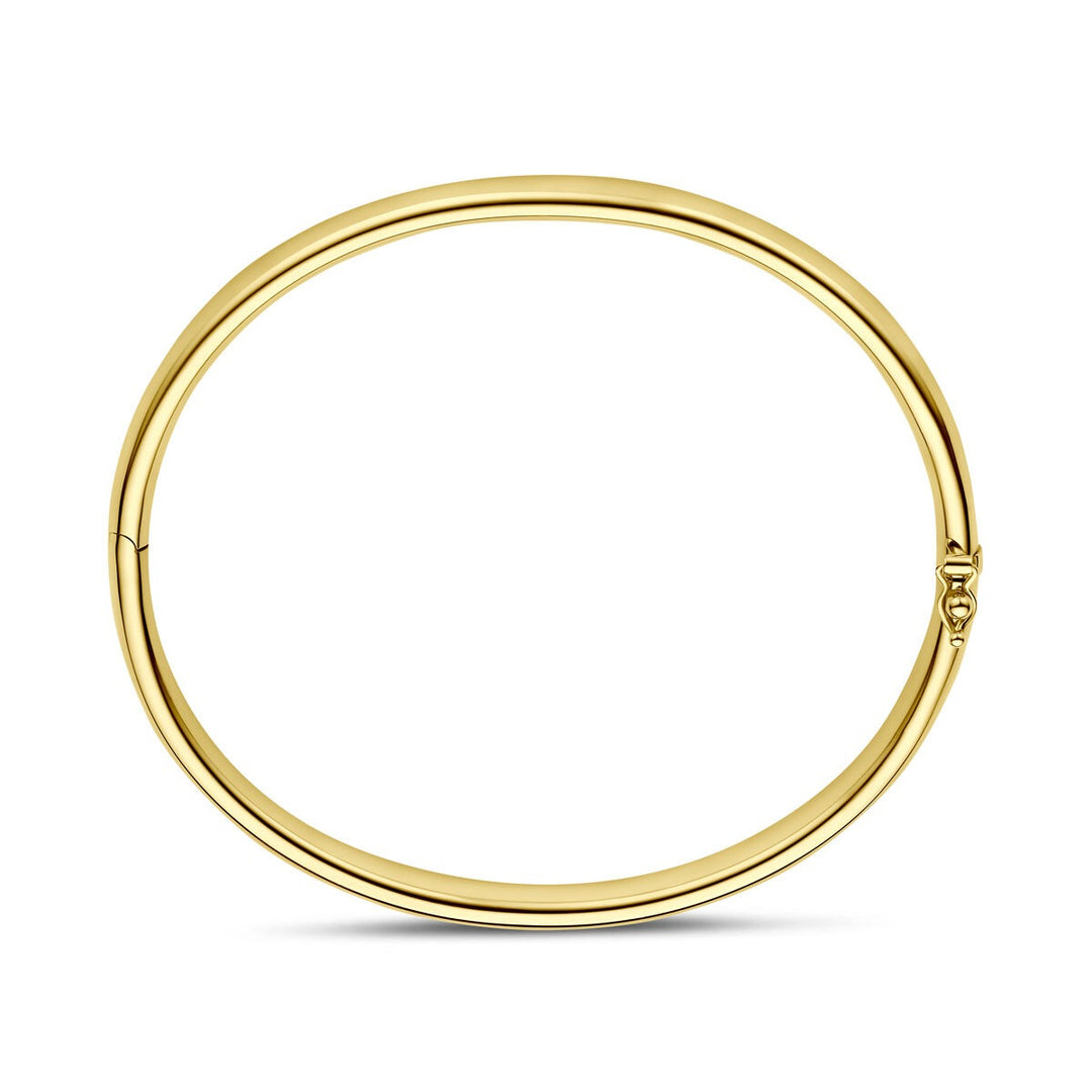 14k Geelgoud Silgold Bangle Armband