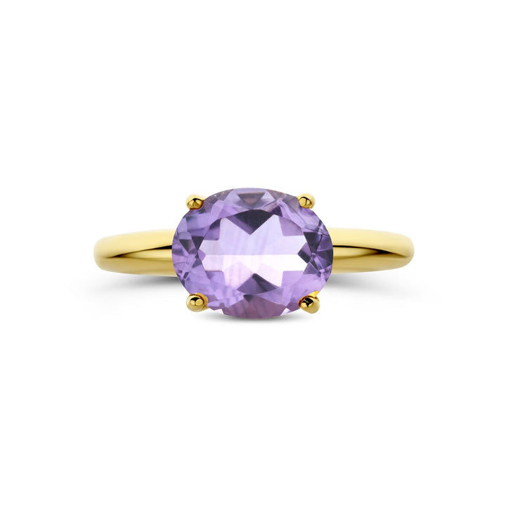 14k Geelgouden ring met amethist