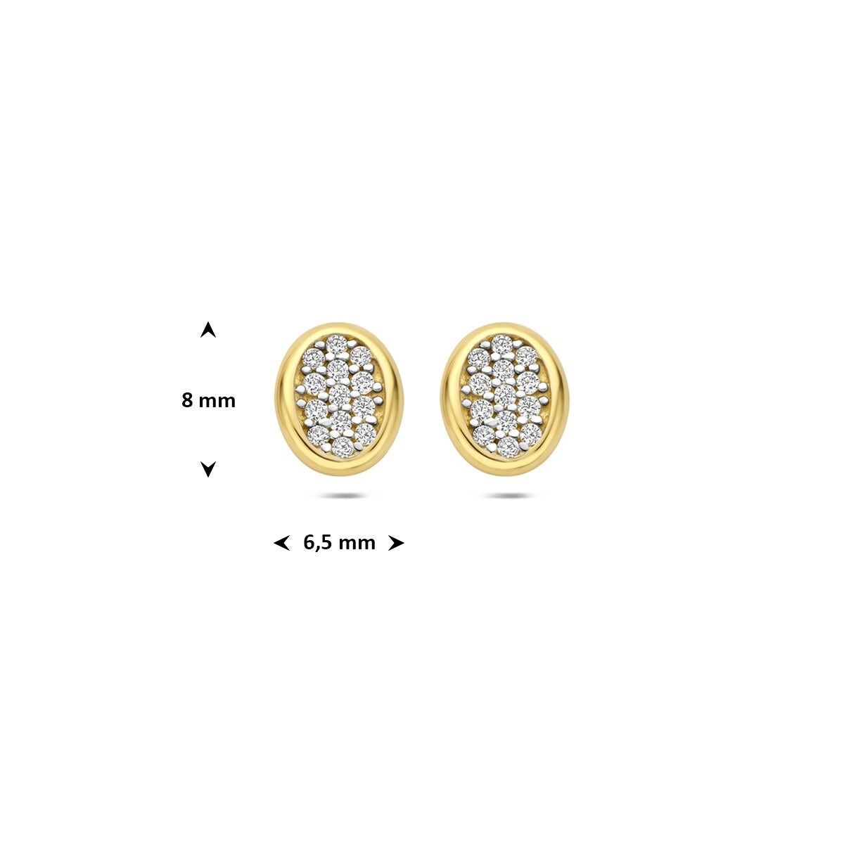 14k Geelgouden oorknopjes met zirkonia