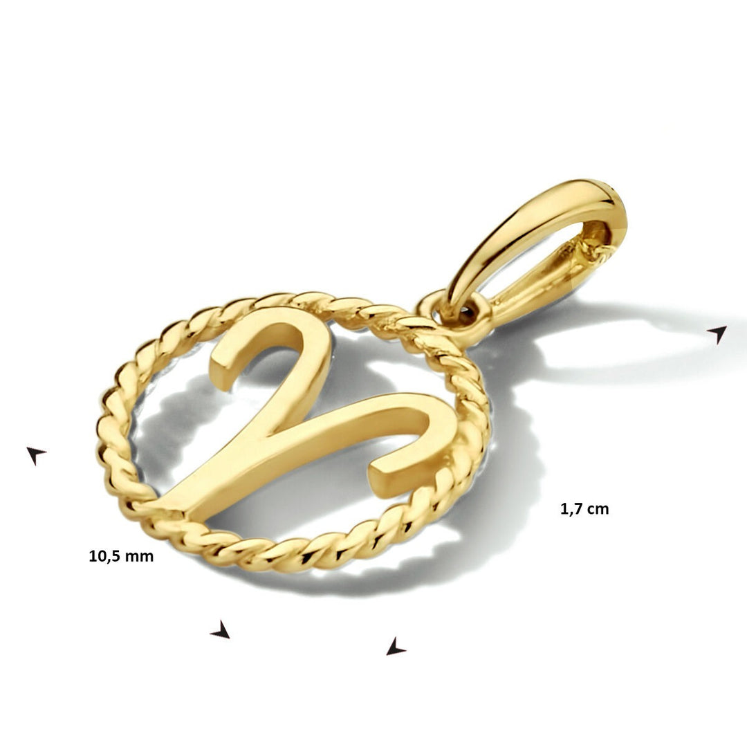 14k Geelgouden sterrenbeeld hanger rond