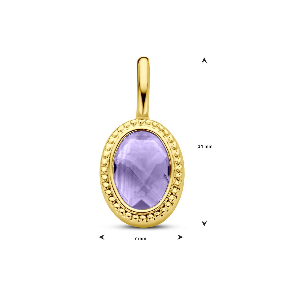 14k Geelgouden Hanger met Amethist – Ovale Zetting