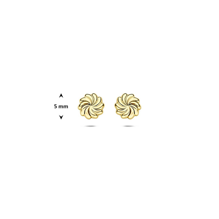14k Geelgouden gedraaide oorknoppen