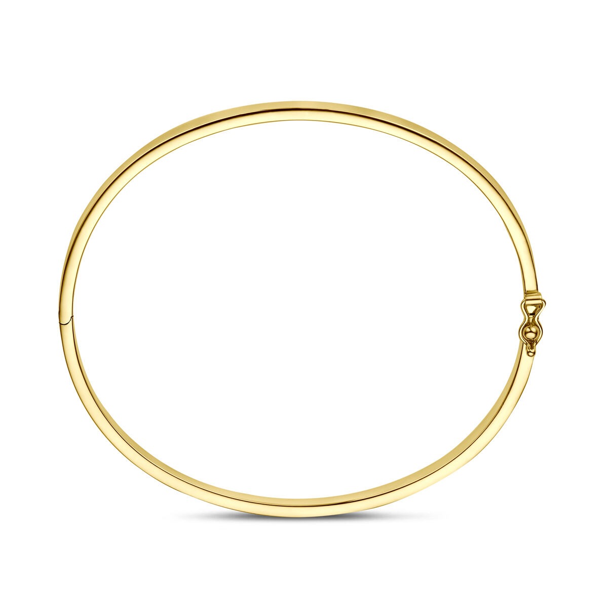 14k Geelgouden Silgold Bangle Dames