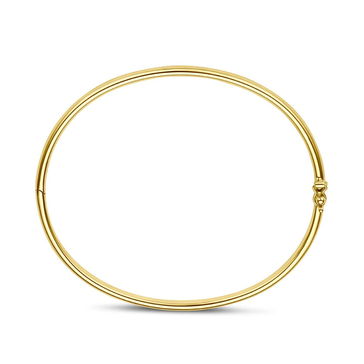 14k Geelgouden Silgold Bangle Dames