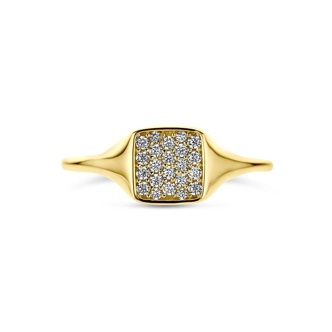 14k Geelgouden ring met zirkonia