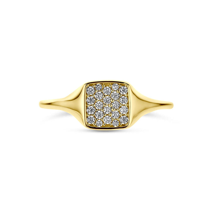 14k Geelgouden ring met zirkonia