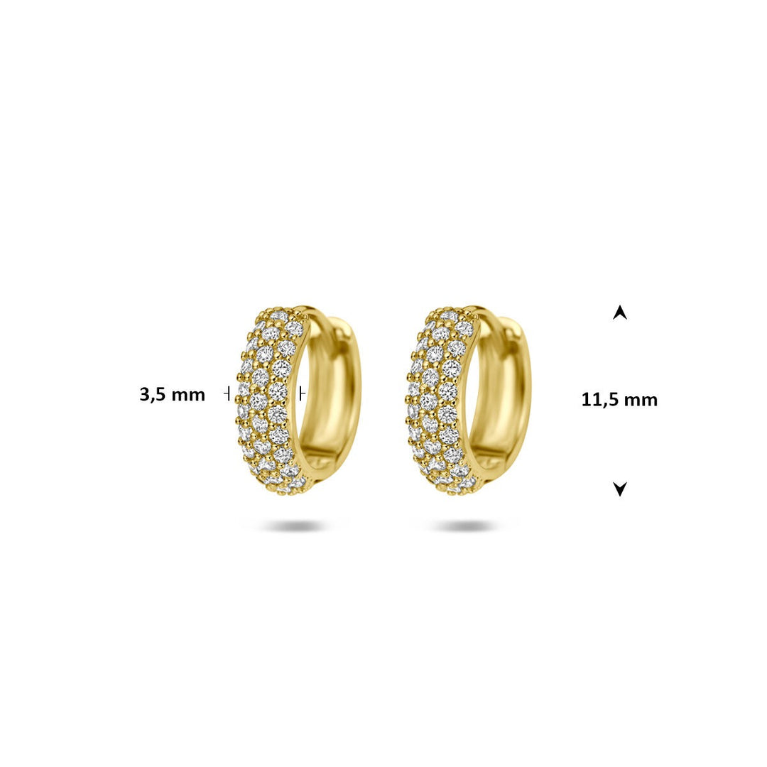 14k Geelgouden klapoorringen met zirkonia
