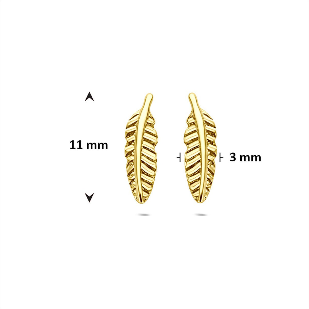 9k Geelgouden oorknopjes in veervorm