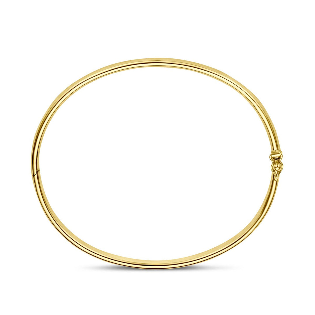 9k Geelgouden bangle armband met ovale buis en zilveren kern