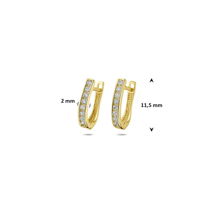 9k Geelgouden klapoorringen met zirkonia