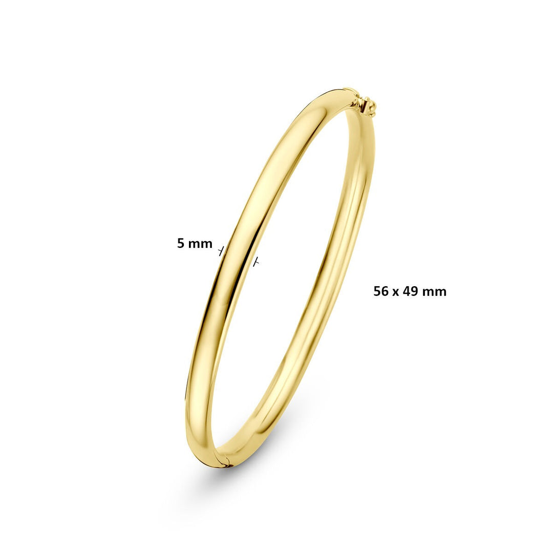 14k Geelgouden Silgold Bangle 5 mm Dames