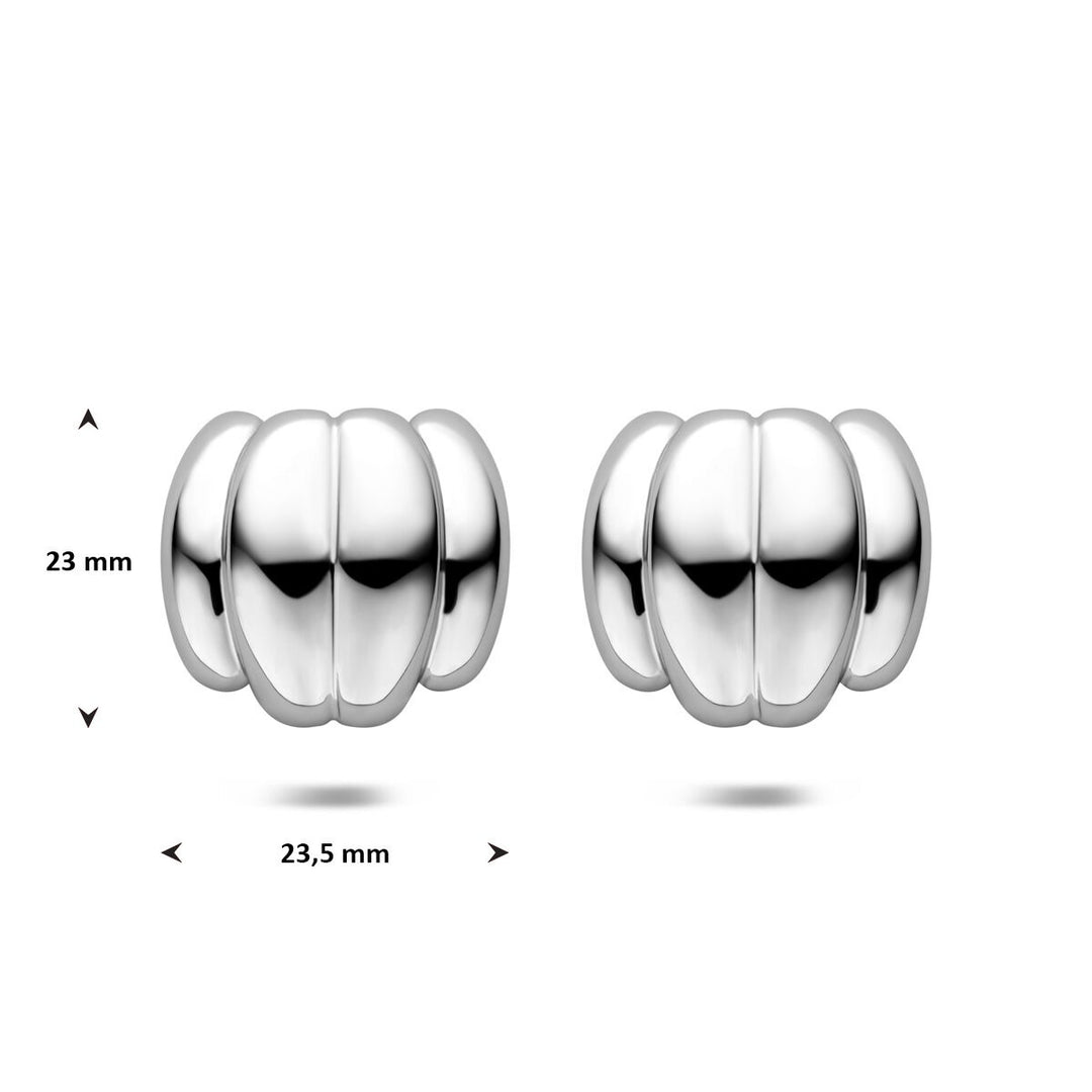 Stalen dames oorknopjes zilverkleurig rond 23 mm