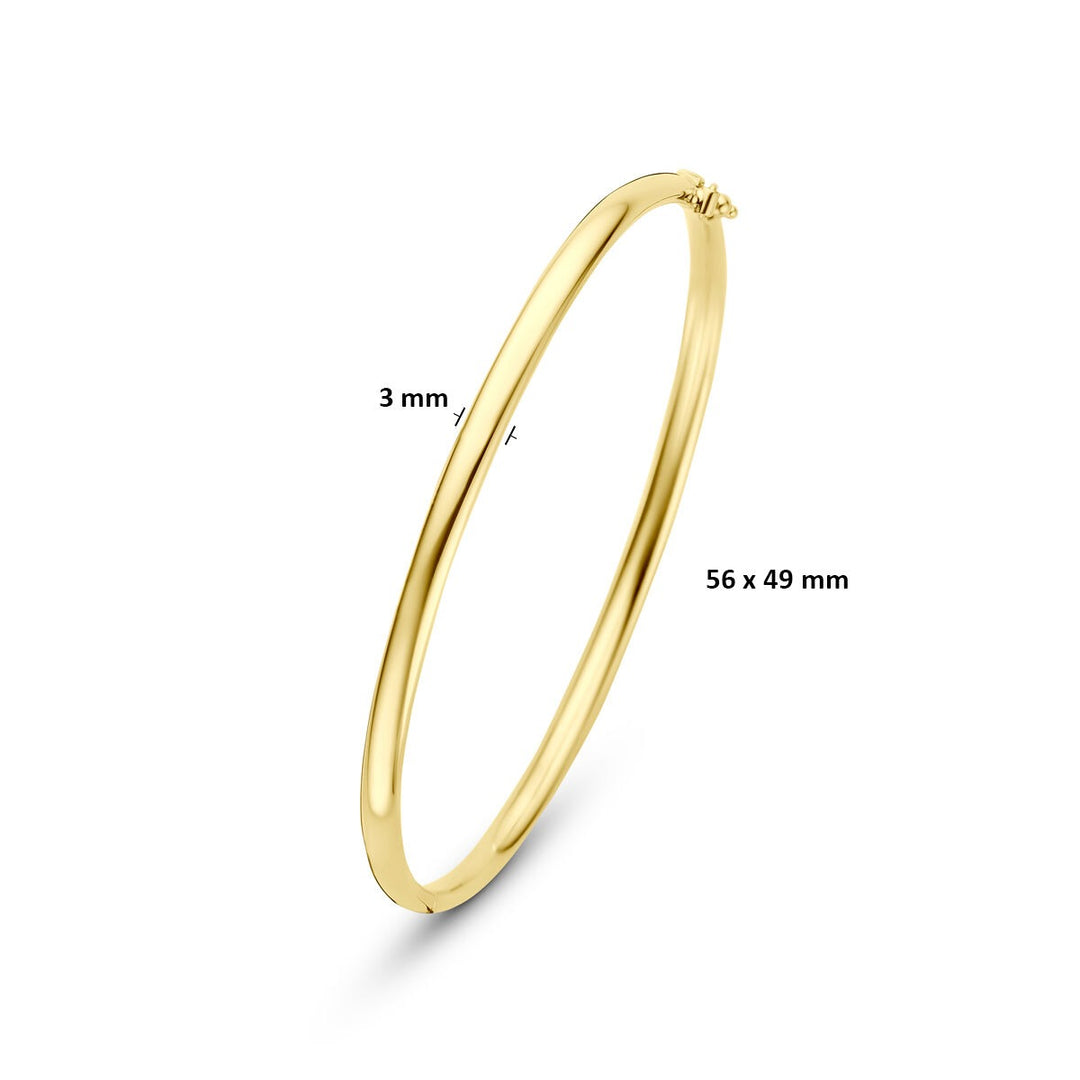 14k Geelgouden Silgold Bangle Dames