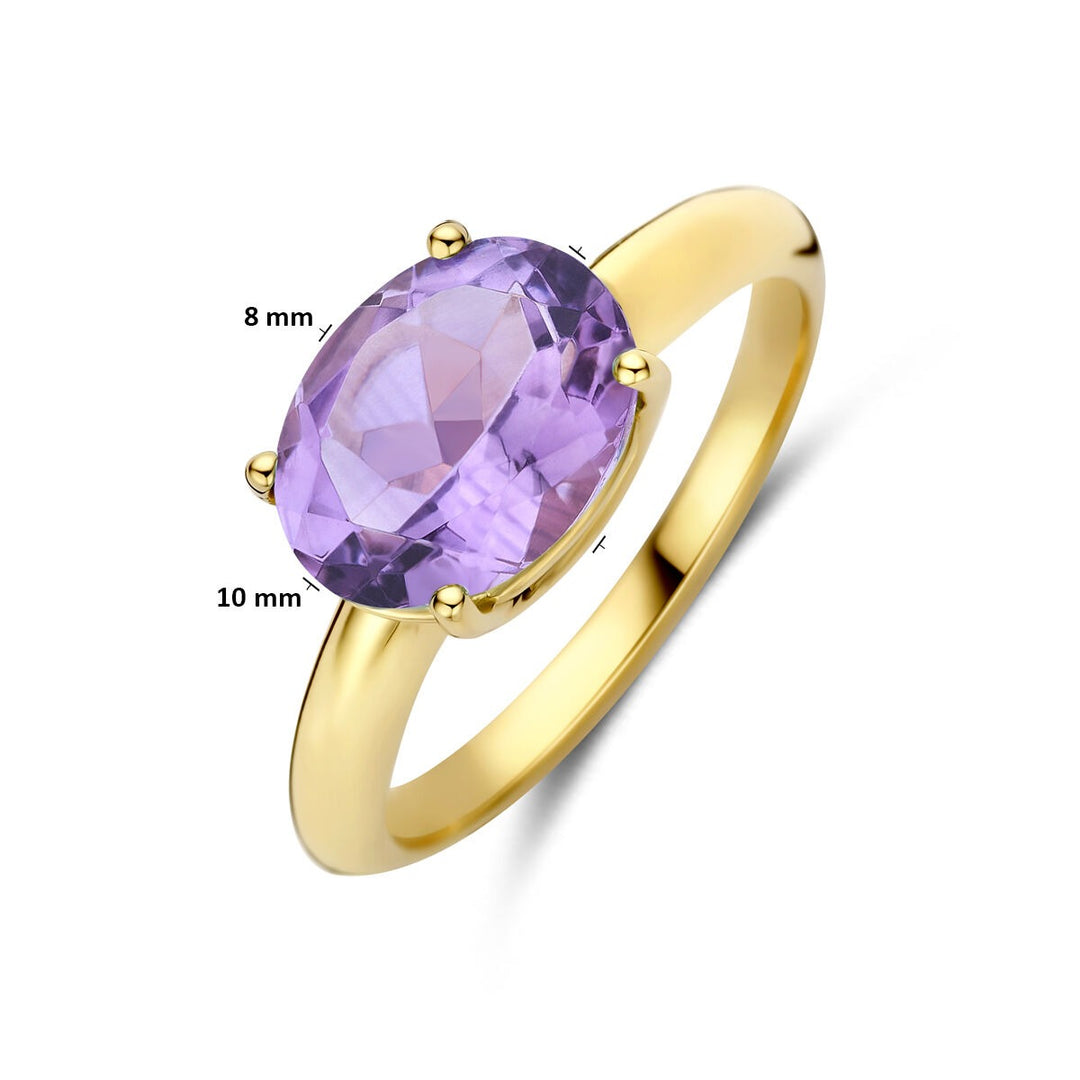 14k Geelgouden ring met amethist