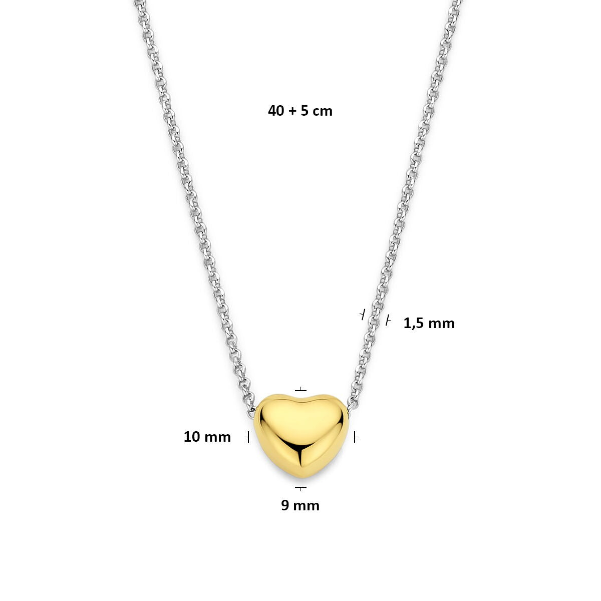 Gerhodineerd zilveren collier met verguld hartje
