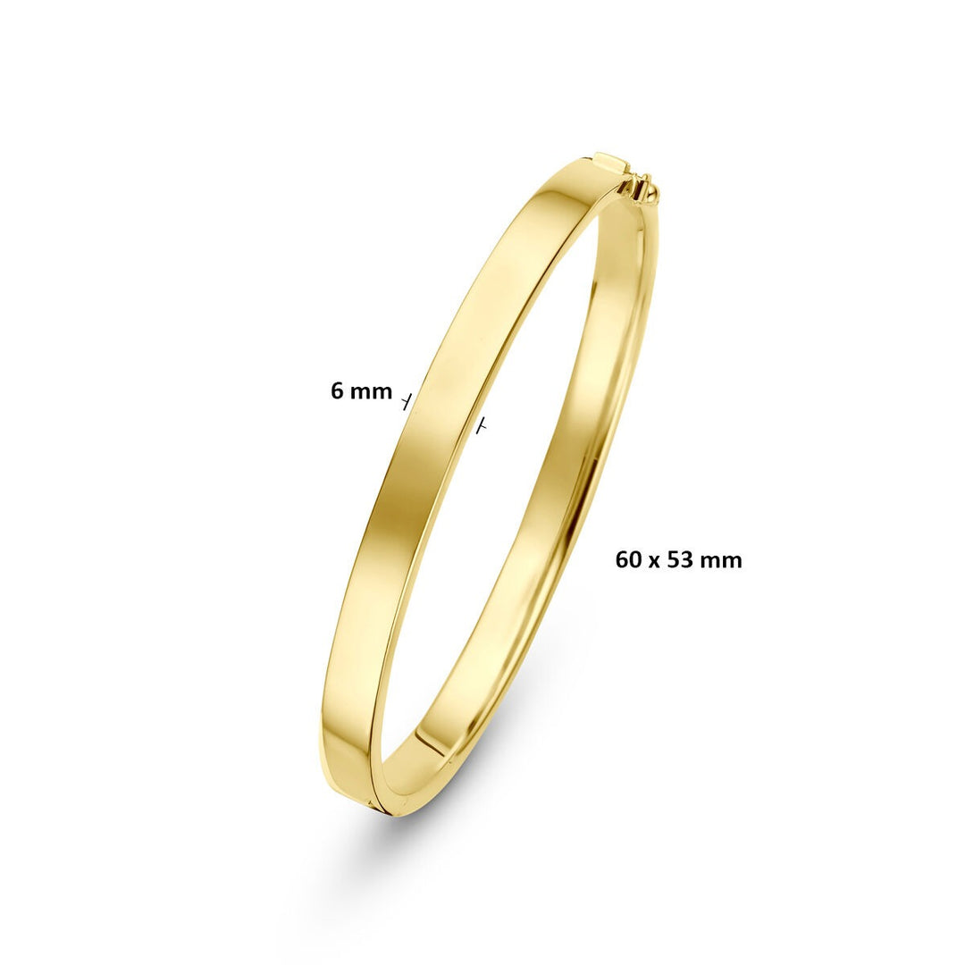 14k Geelgouden Silgold Bangle 6 mm Dames