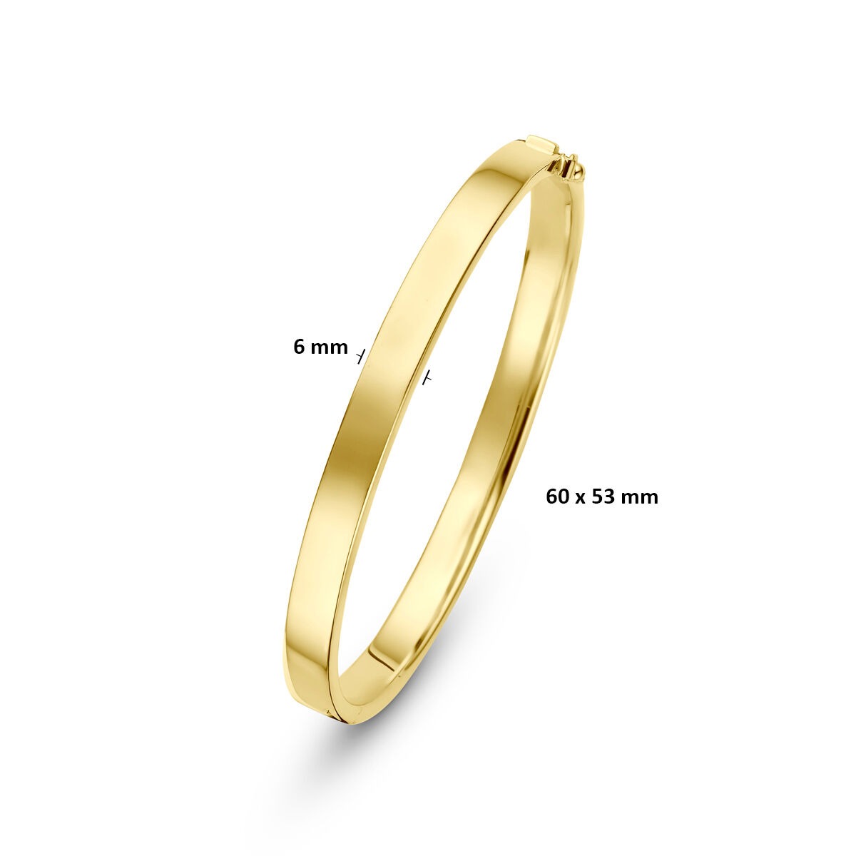 14k Geelgouden Silgold Bangle 6 mm Dames