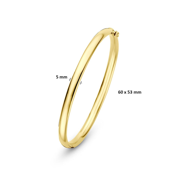 9k Geelgouden bangle armband met ovale buis en zilveren kern
