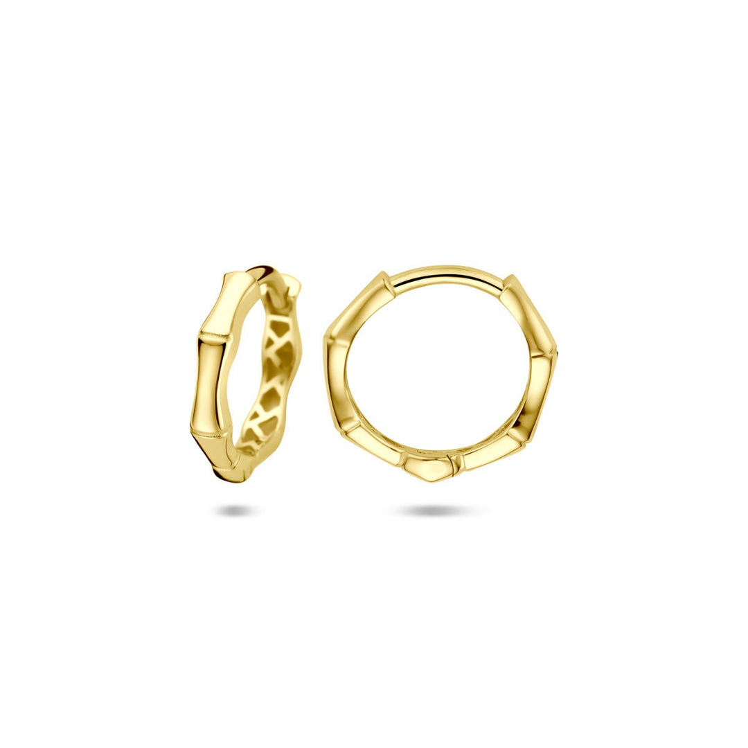 Gouden oorringen – 14k geelgoud