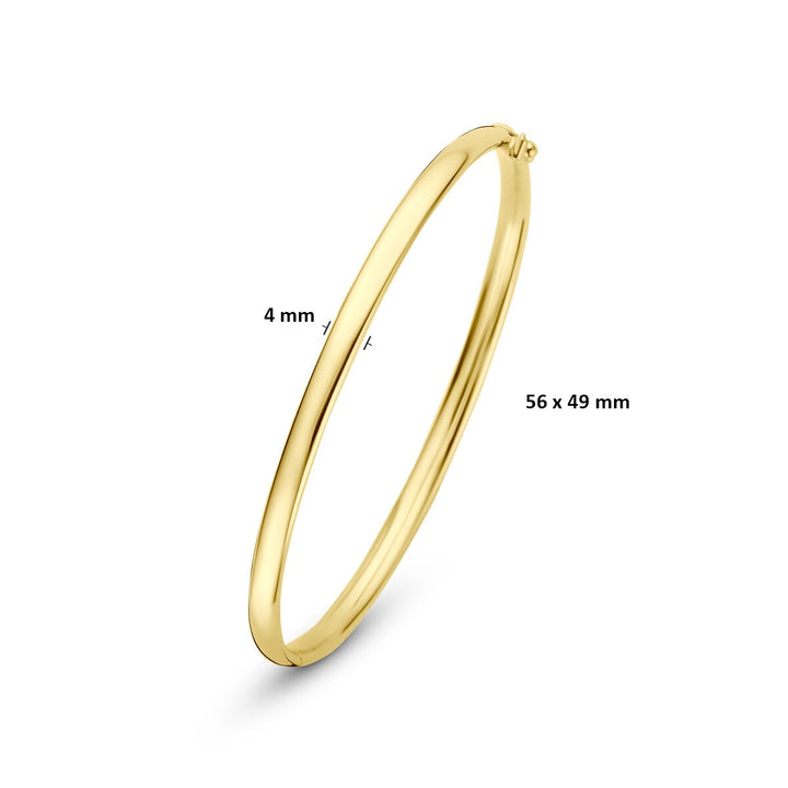 14k Geelgouden Silgold Bangle 4 mm Dames