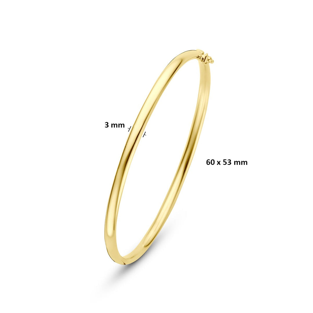 9k Geelgouden bangle armband met zilveren kern