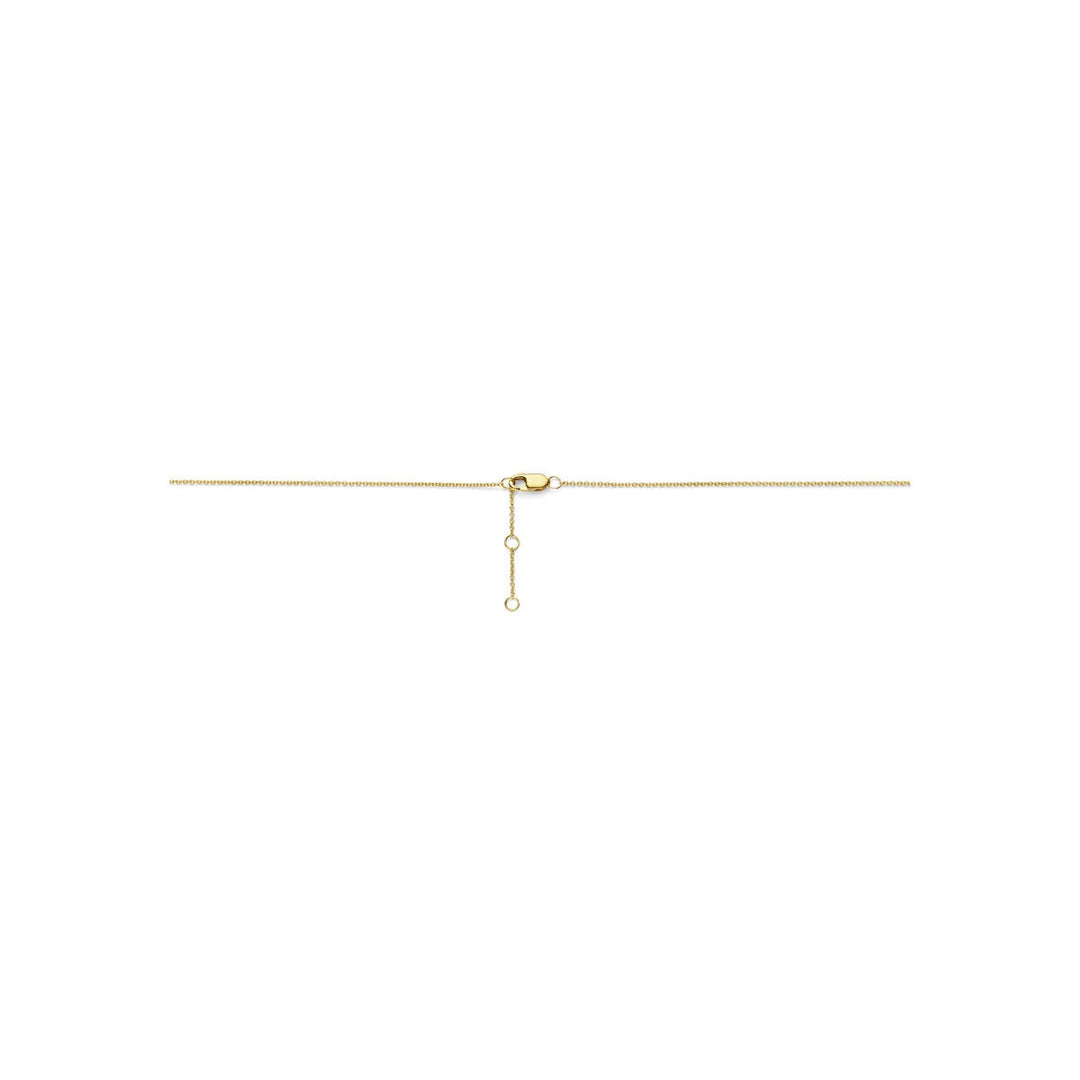 14k Bicolor collier met diamant