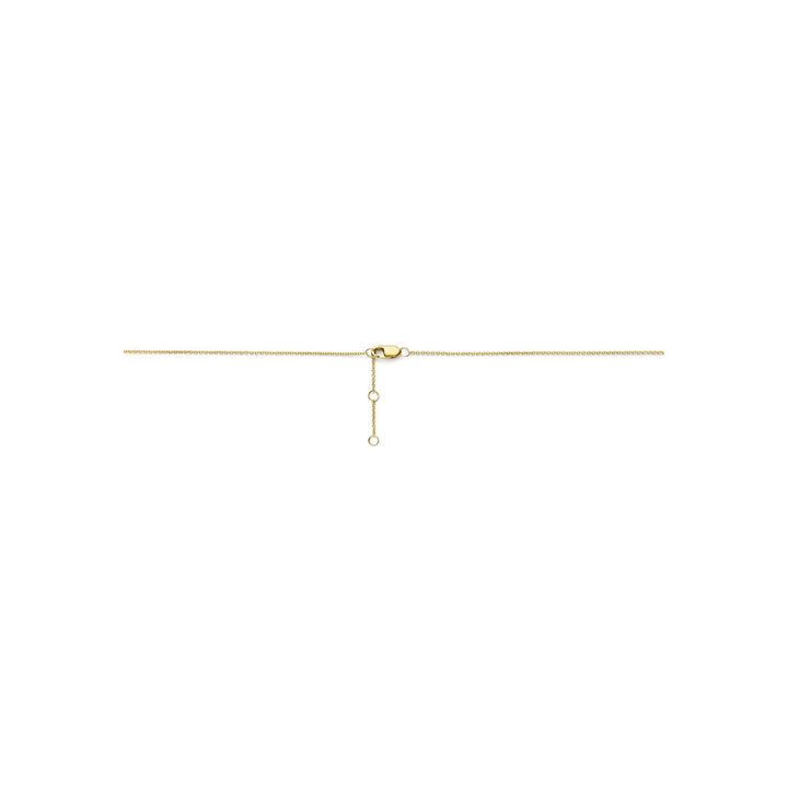 14k Bicolor collier met diamant