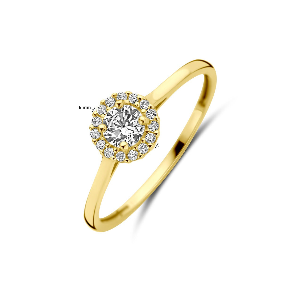 14k Geelgouden Damesring met Zirkonia – Entouragezetting