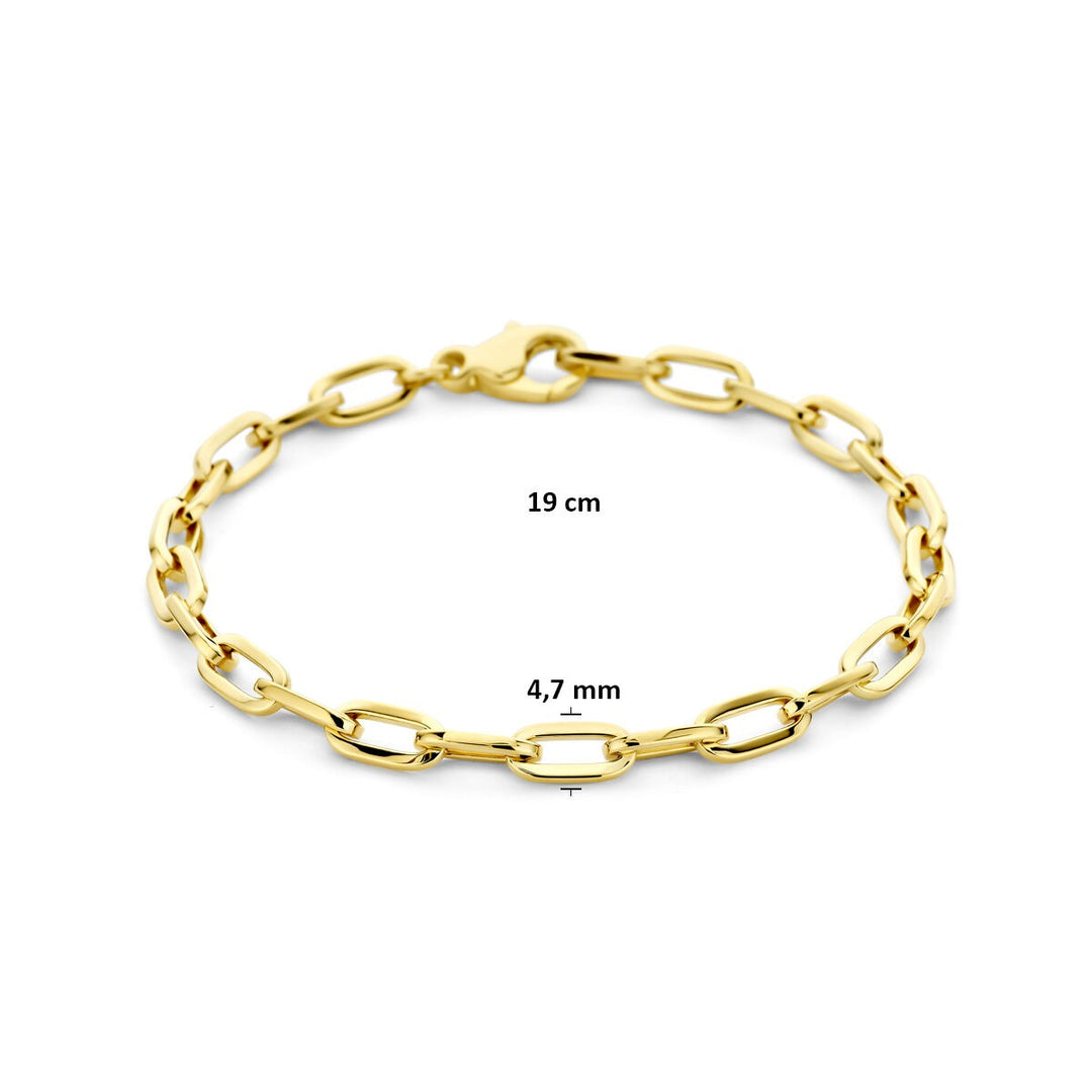 14k Geelgouden dames armband met anker schakel