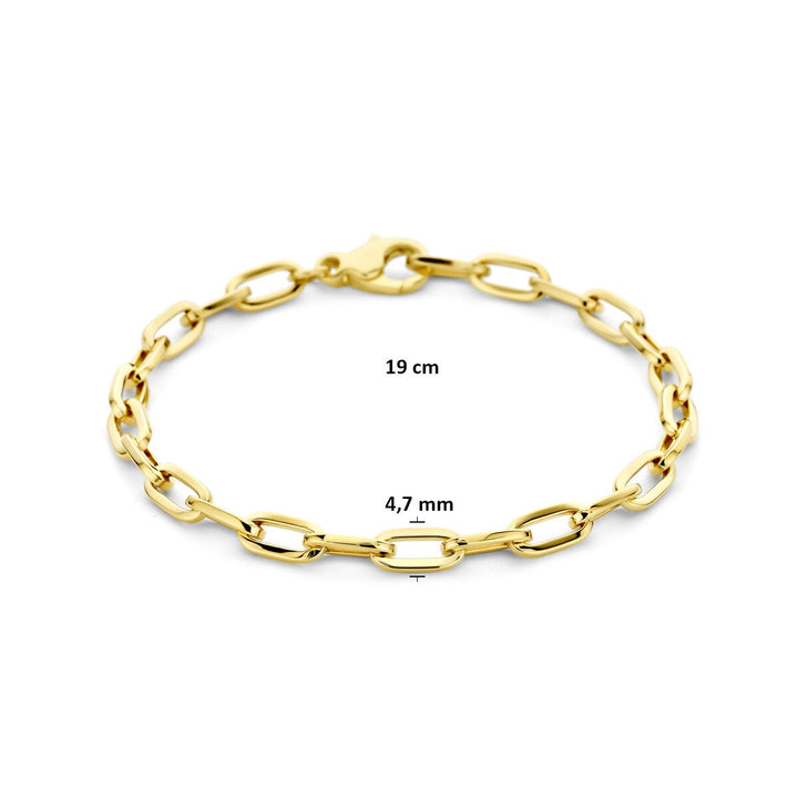 14k Geelgouden dames armband met anker schakel
