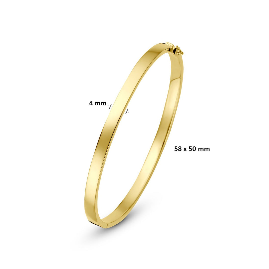 14k Geelgouden Silgold Bangle Dames