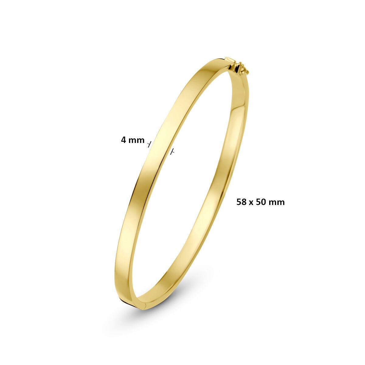 14k Geelgouden Silgold Bangle Dames