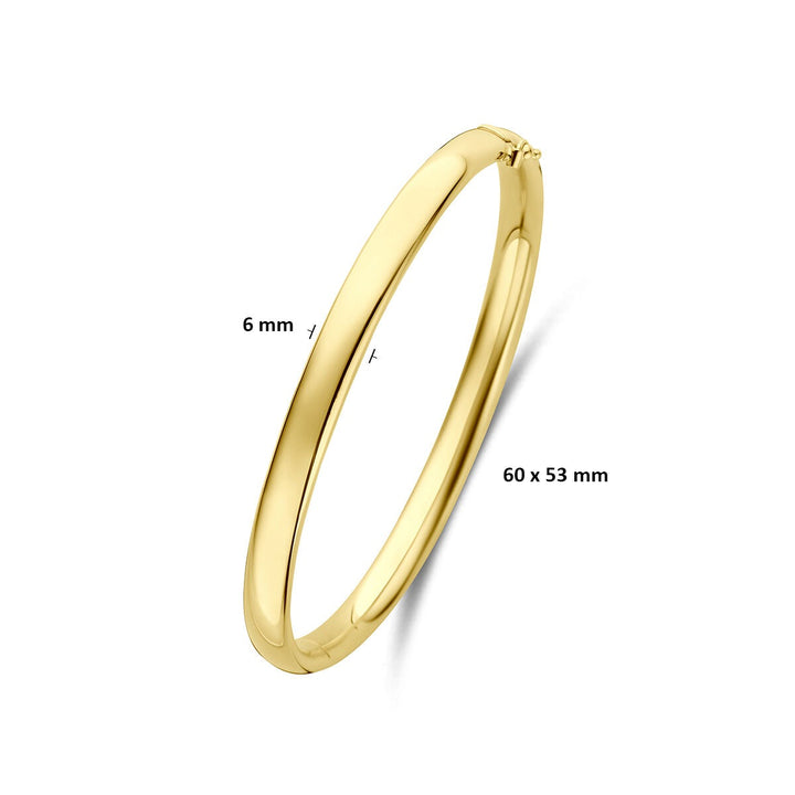 14k Geelgoud Silgold Bangle Armband