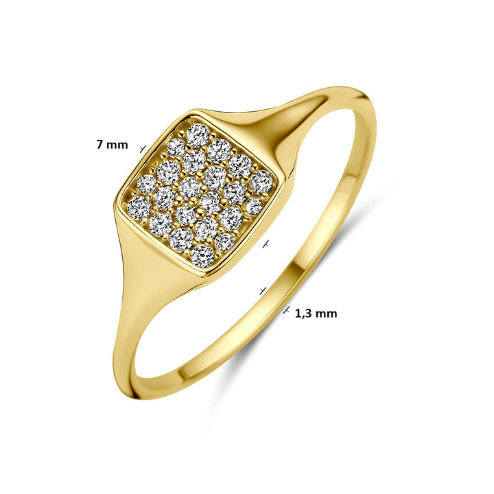 14k Geelgouden ring met zirkonia